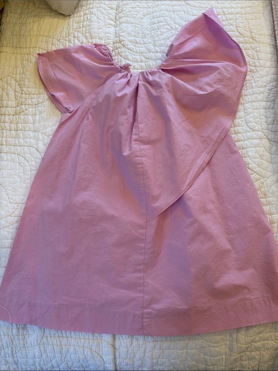 Zara Other - Zara Lilac Pink Ruffle-Shoulder Girls Dress